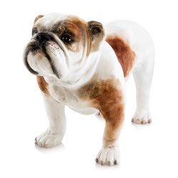 Статуэтка собака Породы Бульдог