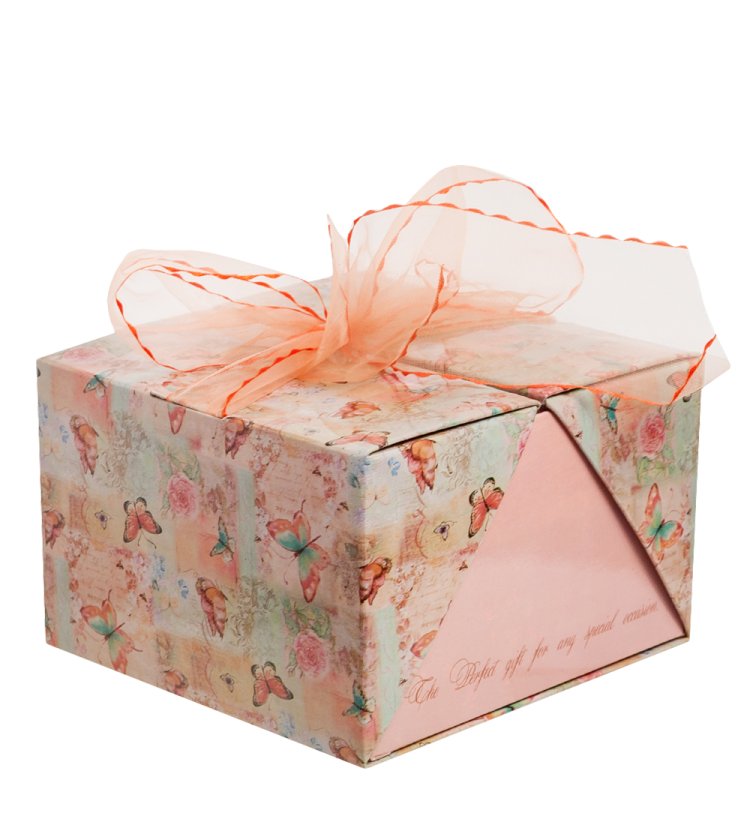 Статуэтка из фарфора Белый Слоник с поднятым хоботом Pavone JP-11/ 25, фотография коробочки