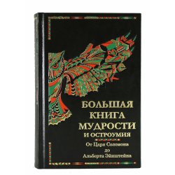 Большая книга мудрости и остроумия: От Царя Соломона до Альберта Энштейна - К.В. Душенко