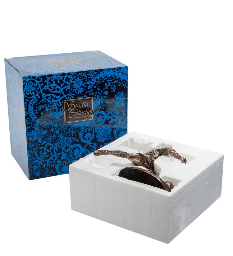 Статуэтка Футболист на поле Veronese WS-433, упаковочный вид