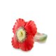 Держатель для салфеток Красный Мак Pavone FM-07/13