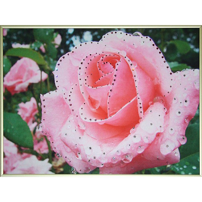 Картина Утренняя роза c кристаллами Swarovski