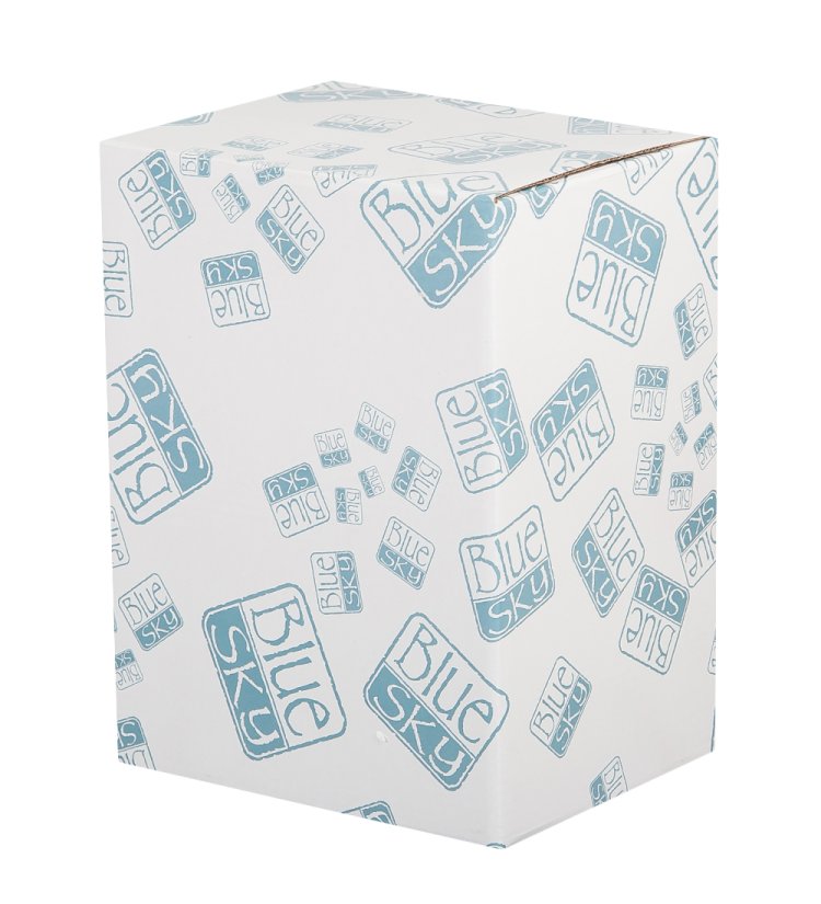 Копилка из керамики Кот Кланси Blue Sky BS-232, фотография коробки