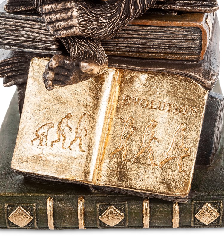 Шкатулка Обезьяна с черепом - Гуго Рейнгольд Veronese WS-100/ 2, увеличенный вид книги