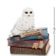 Шкатулка Белоснежная Сова на книгах Veronese WS-720