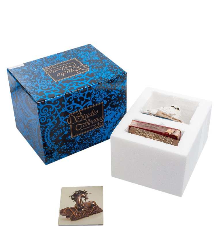 Шкатулка Белоснежная Сова на книгах Veronese WS-720, упаковочный вид