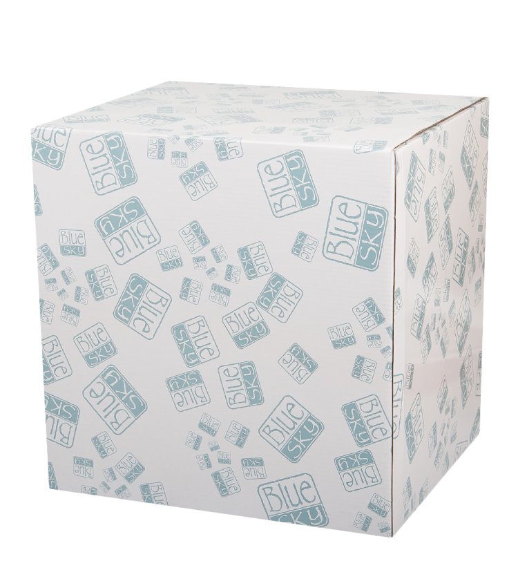 Заварочный чайник Голубые маки Blue Sky BS-247, фотография коробки