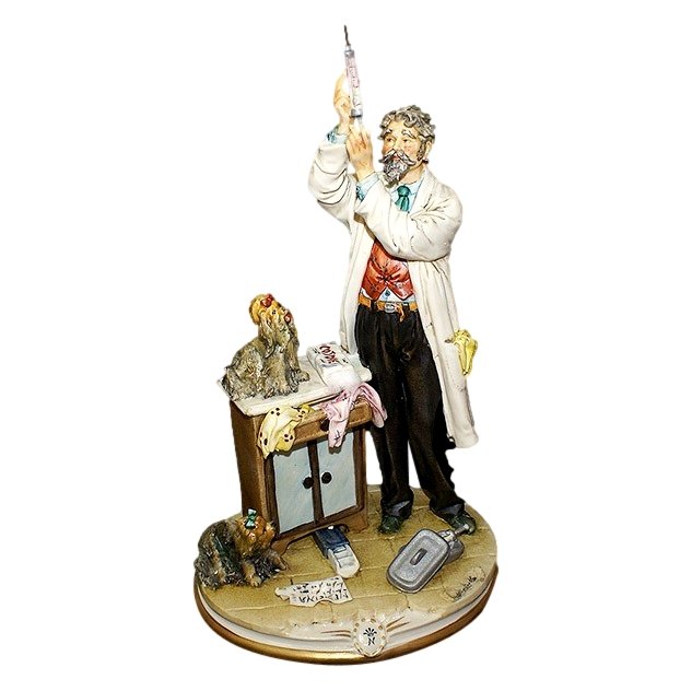 Статуэтка из фарфора Ветеринар