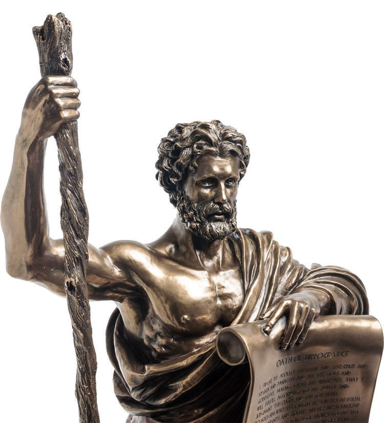 Статуэтка Клятва Гиппократа Veronese WS-862, портретный вид