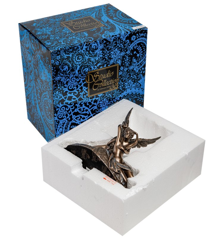 Статуэтка Амур и Психея - Спасение Veronese WS-1016, упаковочный вид