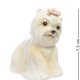 Статуэтка из фарфора Белая собачка с цветком на голове Pavone CMS-59/ 5