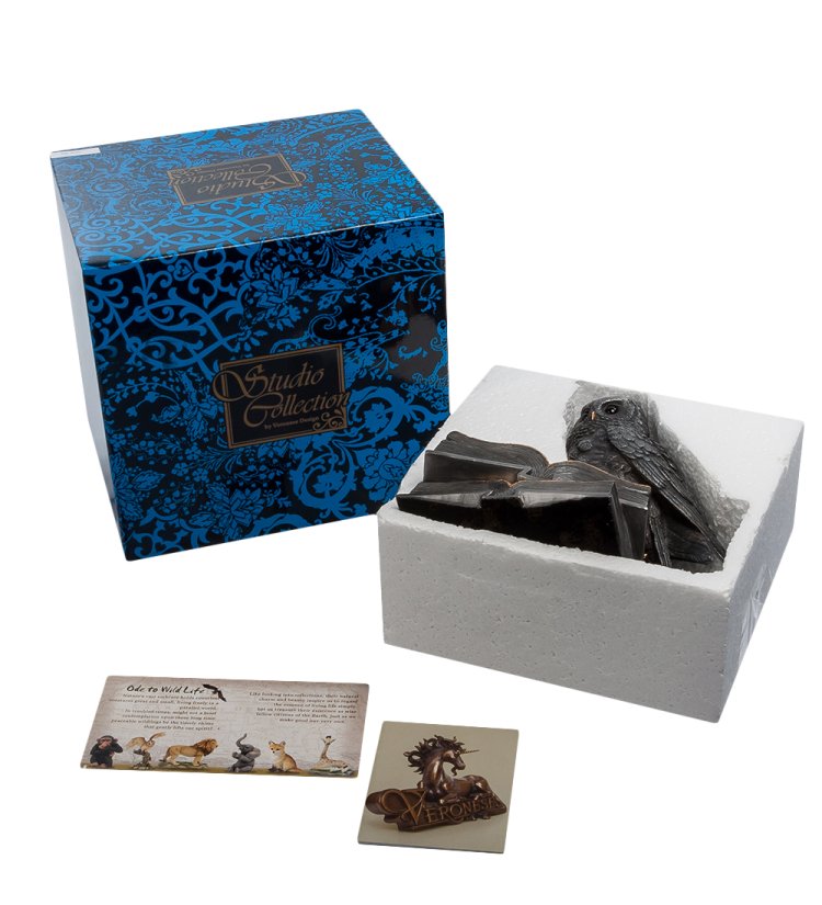 Статуэтка Мудрая Сова на книгах Veronese WS-86, упаковочный вид