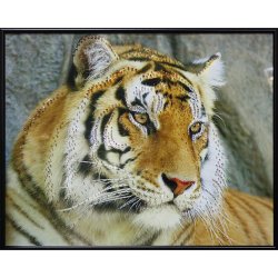 Картина Тигр амурский c кристаллами Swarovski