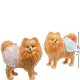 Набор соль-перец Пара рыженьких собак Pavone CMS-14/25