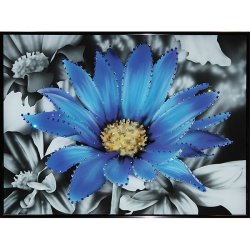 Картина Контраст цвета-Ромашка c кристаллами Swarovski