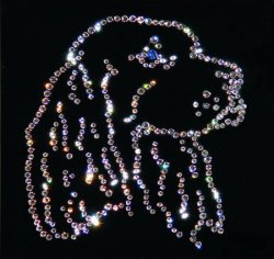 Картина Голова Спаниеля c кристаллами Swarovski