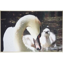 Картина Сердце матери-2 c кристаллами Swarovski