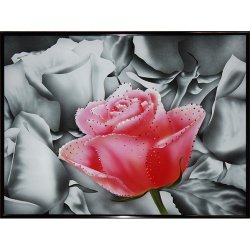 Картина Контраст цвета-Роза c кристаллами Swarovski