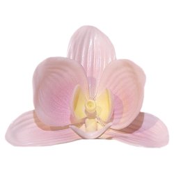 Фарфоровая статуэтка цветок Орхидея