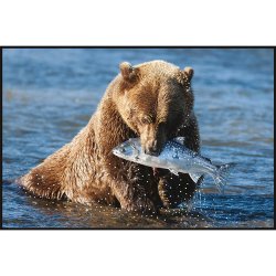 Картина Медвежий улов c кристаллами Swarovski