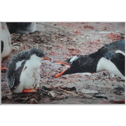 Картина Сердце матери c кристаллами Swarovski