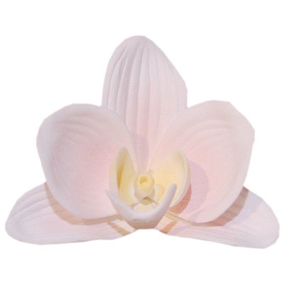 Фарфоровая статуэтка цветок Орхидея