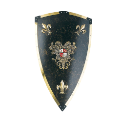Щит рыцарский Карла V Великого