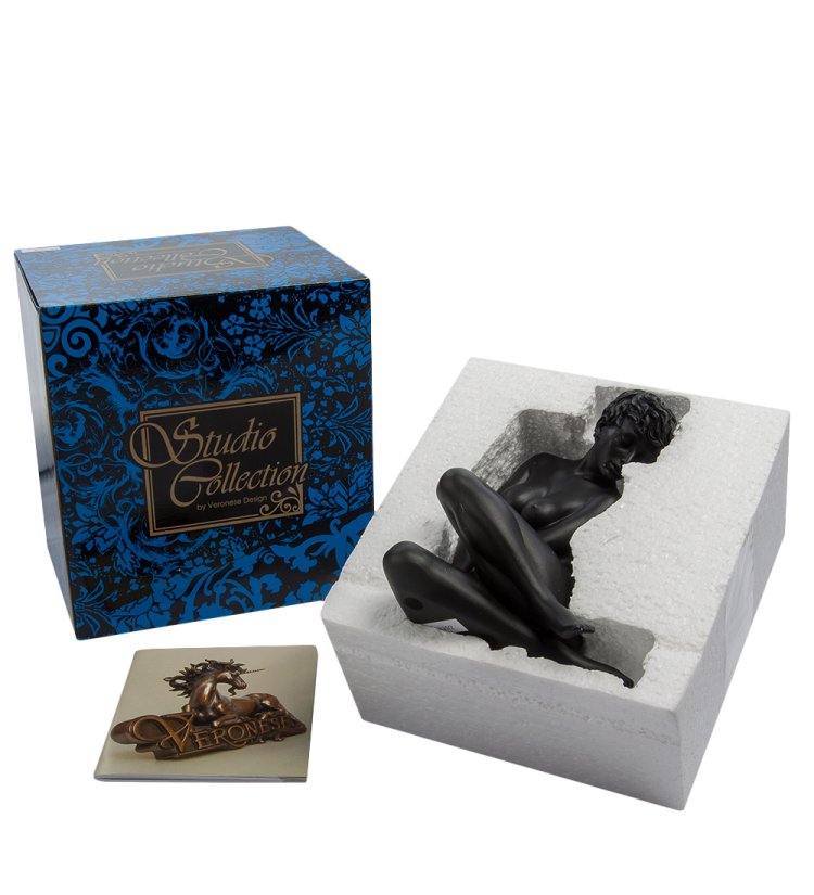Статуэтка Девушка - Чувственная нежность Veronese WS-135/ 2, упаковочный вид