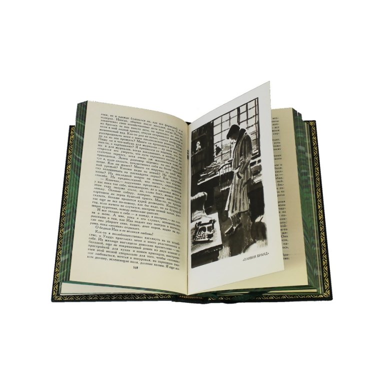 Книги в кожаном переплете Теодор Драйзер - Собрание сочинений в 12 томах BG1323S, фотография разворота книги