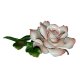 Цветок из фарфора розовая Роза