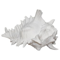 Декоративная раковина