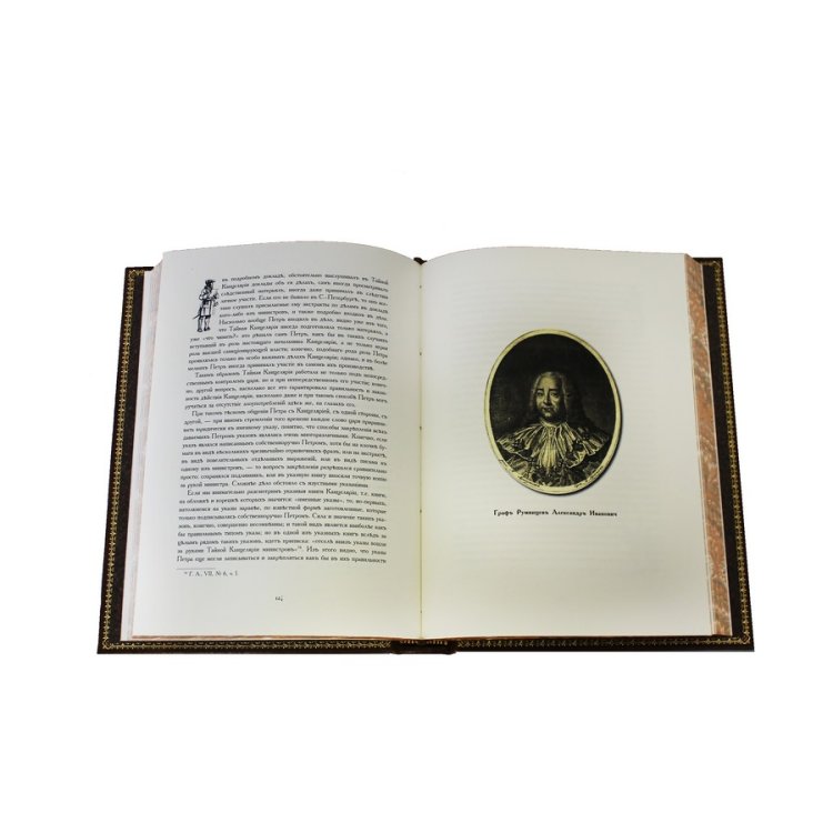 Книга в кожаном переплете История Тайной Канцелярии Петровского времени - Веретенников В.И. BG1326M, фотография разворота книги