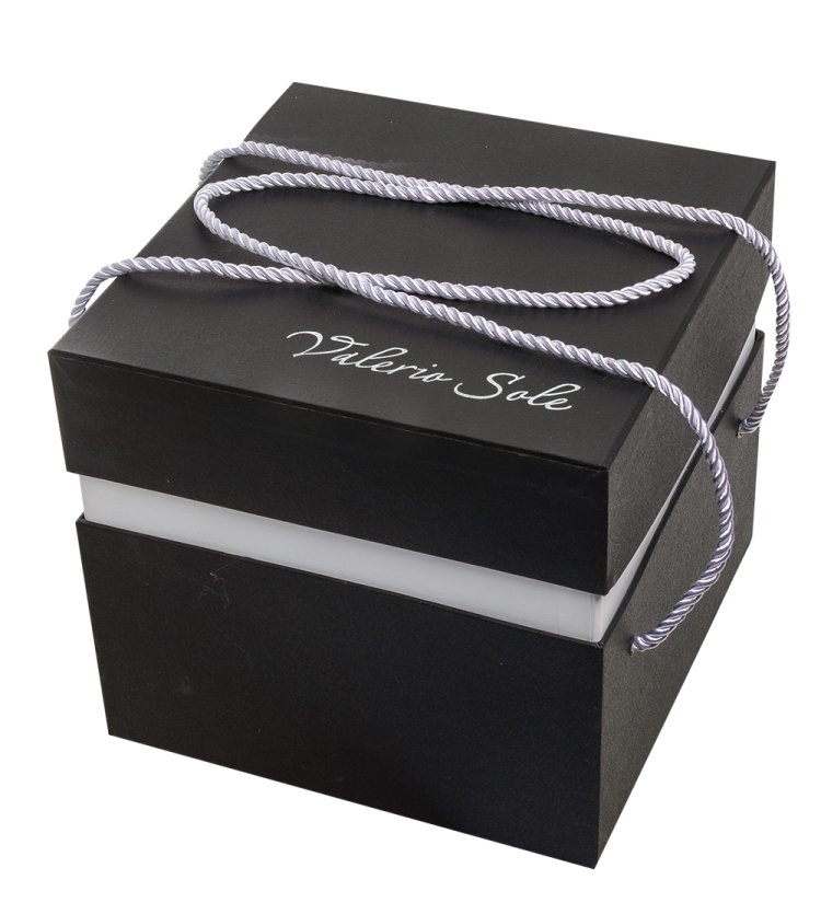 Статуэтка из фарфора Леди с голубем Valerio Sole VS-325, фотография коробки