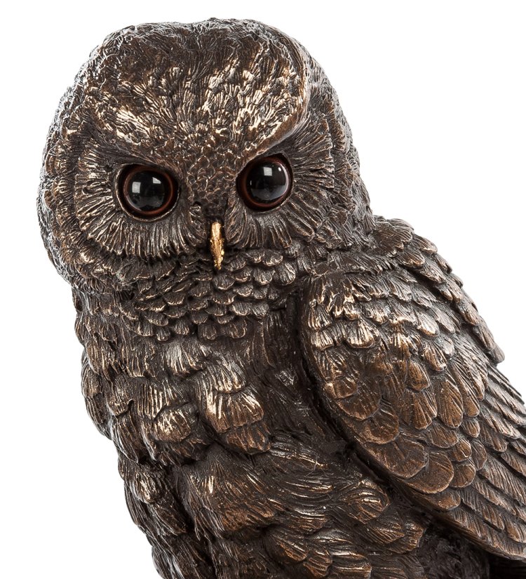 Шкатулка Книжная Сова Veronese WS-48/ 2, увеличенный вид профиль