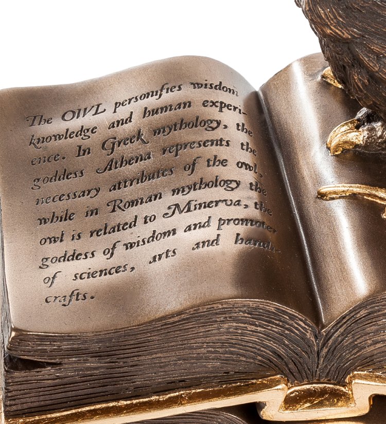 Шкатулка Книжная Сова Veronese WS-48/ 2, увеличенное изображение книги