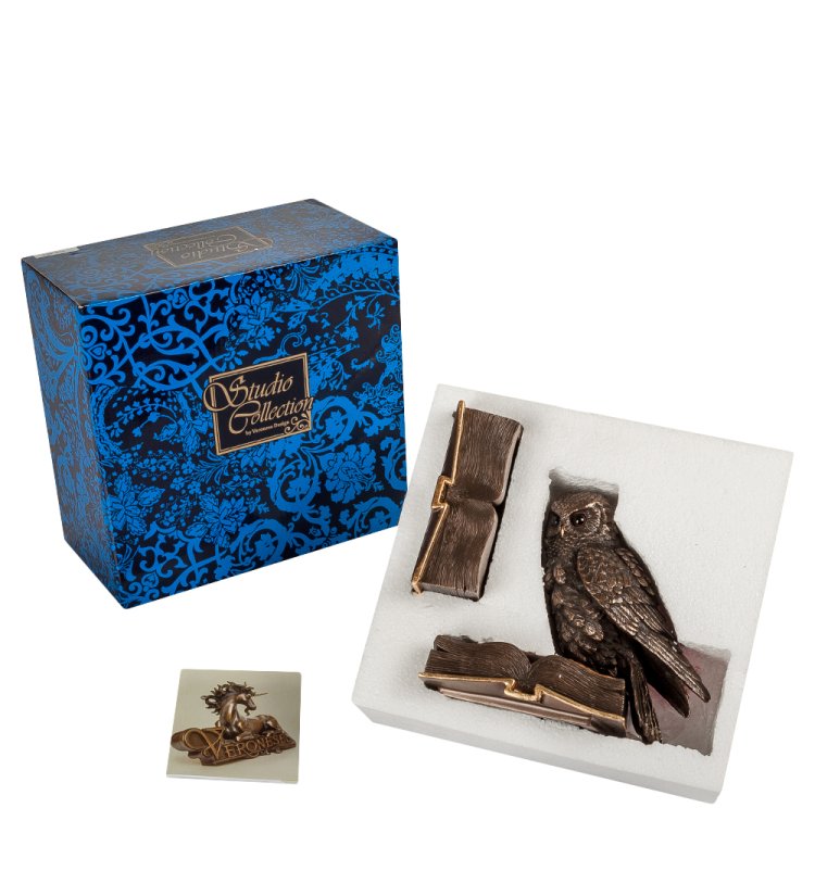 Шкатулка Книжная Сова Veronese WS-48/ 2, упаковочный вид