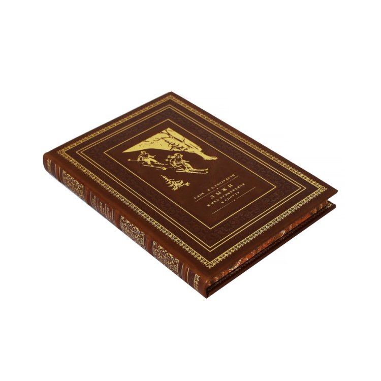 Книга в кожаном переплете Лыжи и их применения к спорту - Ричардсон Е. Ц., Хок Генрих BG1329M, фотография сбоку книги