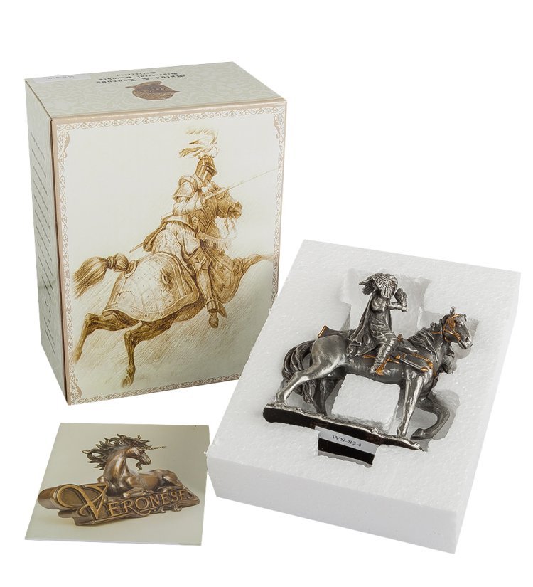 Статуэтка Охотник воин с соколом Veronese WS-824, упаковочный вид