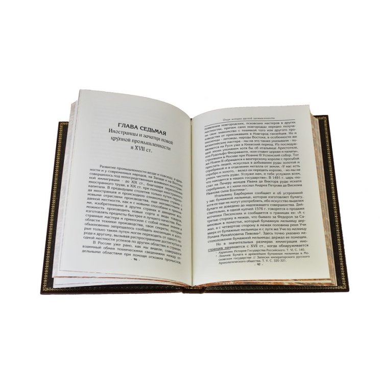 Книга в кожаном переплете Очерк по истории русской промышленности - Кулишер И.М. BG1330M, фотография разворота книги