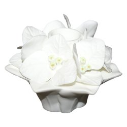 Подсвечник Бугенвиллея