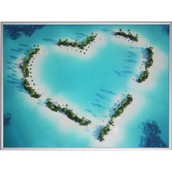 Картина Любовь к экзотике c кристаллами Swarovski