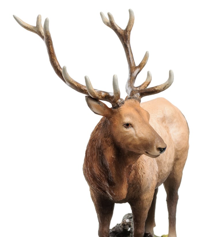 Статуэтка Лось - Лесной Гость Veronese WS-846, вид профиль